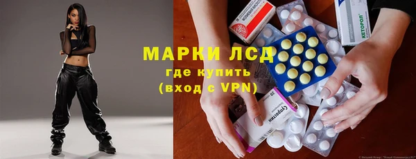 прущие грибы Волоколамск