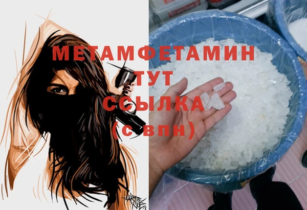 прущие грибы Волоколамск