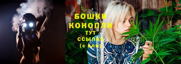 прущие грибы Волоколамск