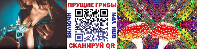 Галлюциногенные грибы ЛСД  Купить где  Мирный 